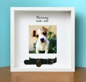 personalised pet frame